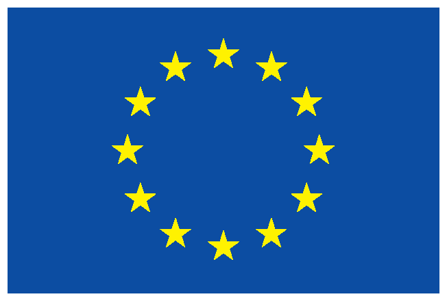 eu flag with white border